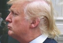 trump-hair-real-or-fake