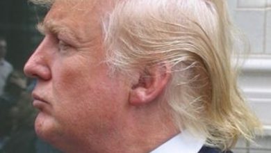 trump-hair-real-or-fake