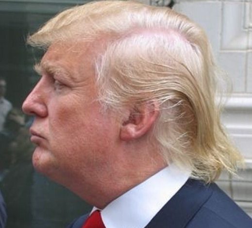 trump-hair-real-or-fake