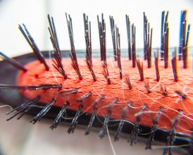 balding-hair-loss-problem-with-white-hair-loss-problem-on-white-backroad