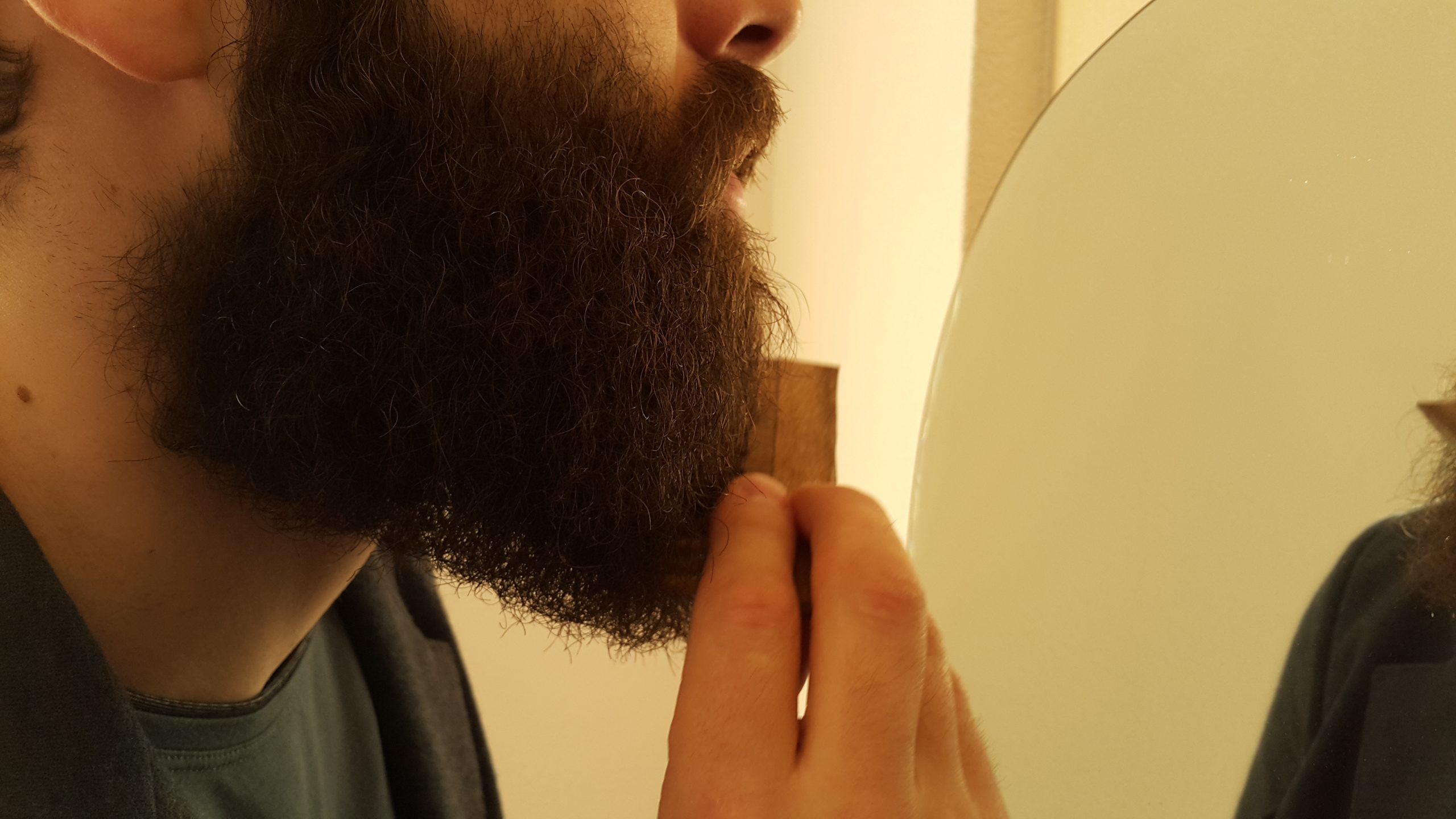 combing-of-the-beard
